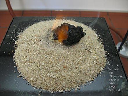 V 1.1.2 Verkohlung von Zuckern Pharaoschlangen